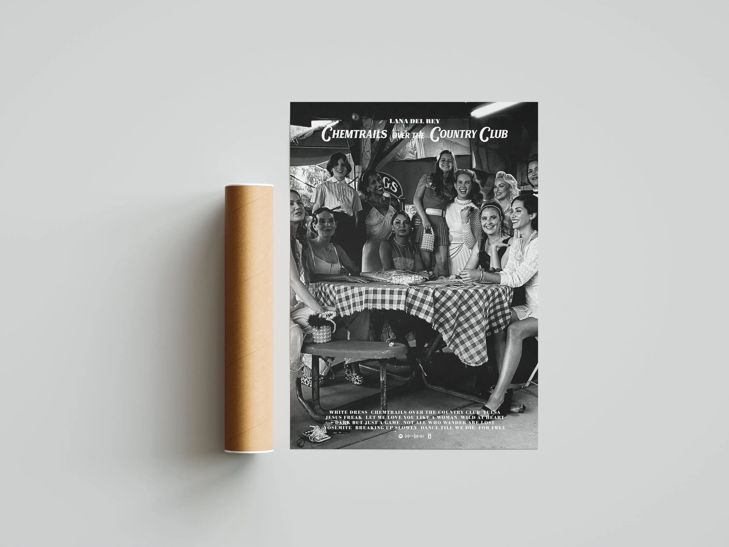 Lana Del Rey Music Album Canvas Poster