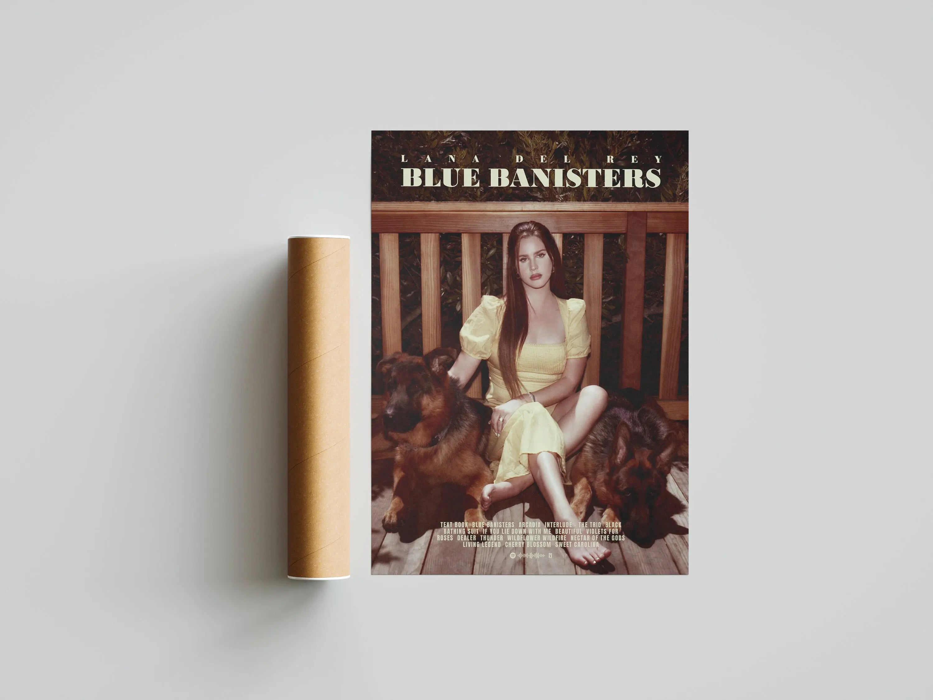 Lana Del Rey Music Album Canvas Poster