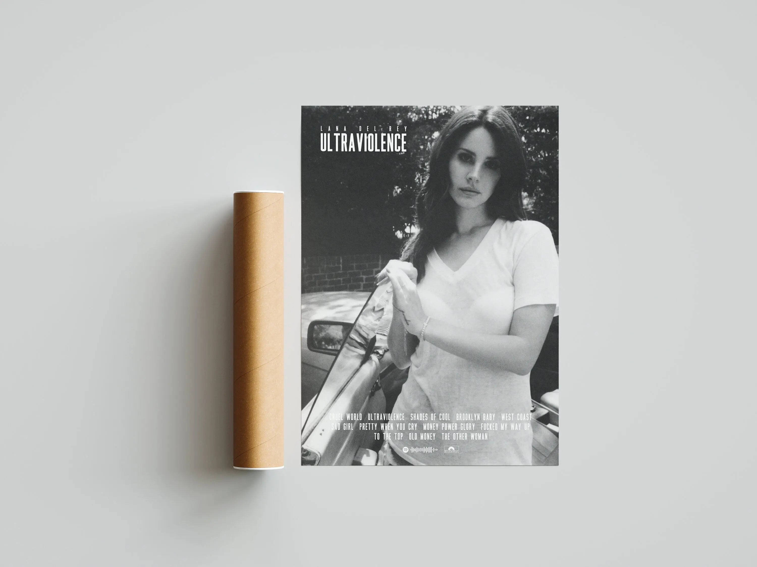 Lana Del Rey Music Album Canvas Poster