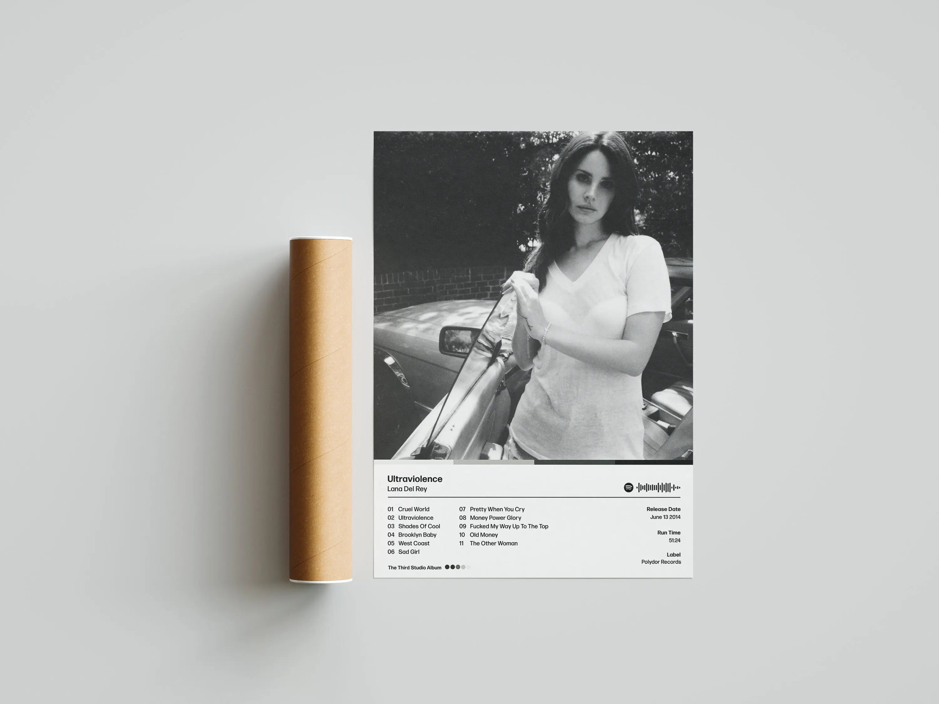 Lana Del Rey Music Album Canvas Poster