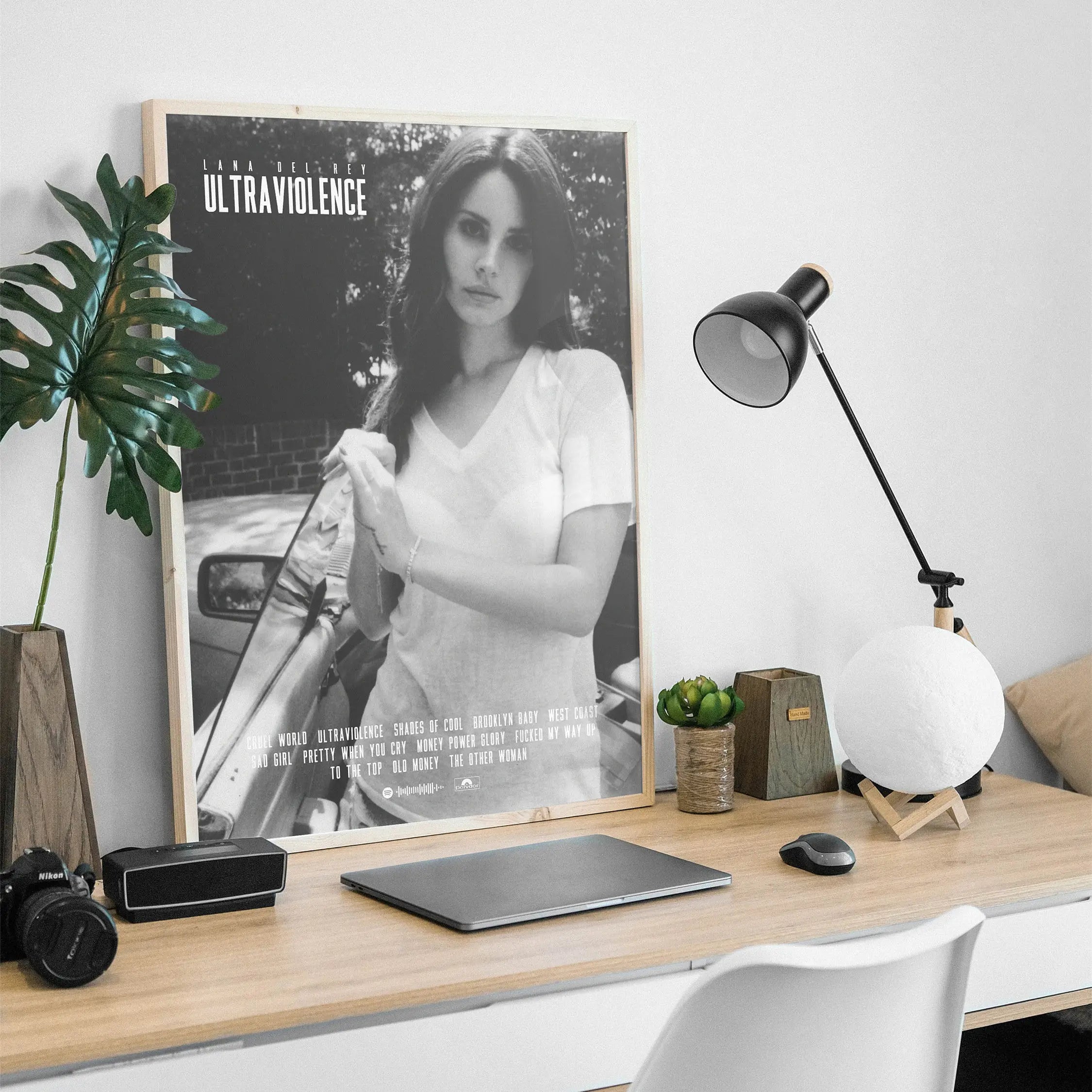 Lana Del Rey Music Album Canvas Poster