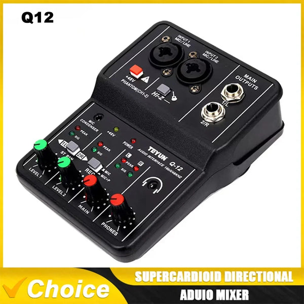 TEYUN Q12 Professional 2-Channel Portable USB Audio Interface Mixer